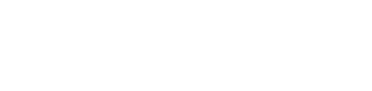 VALOR Development